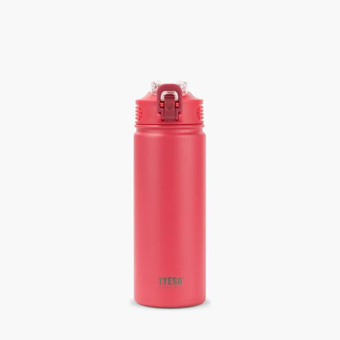 TYESO Wander Stainless Steel Sports Bottle With Straw 20oz Executive Corporate Gifts Singapore