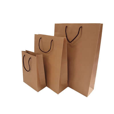 Eco-Friendly Brown Kraft Paper Bag Executive Corporate Gifts Singapore