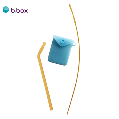 Eco Friendly B BOX Silicone Straw Travel Pack Executive Corporate Gifts Singapore