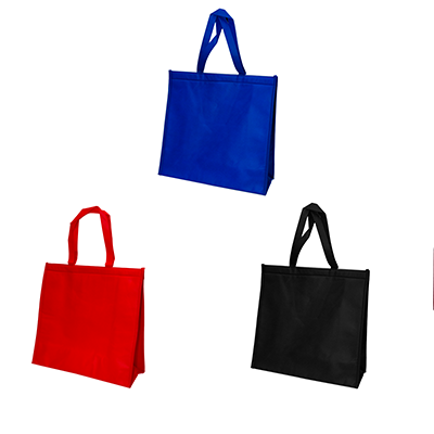 NonWoven Cooler Bag Executive Gifts Singapore