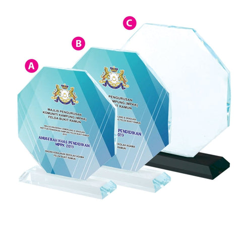 Octagon Crystal Award