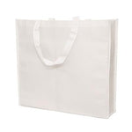 Non Woven Bag (90gsm) | Executive Door Gifts
