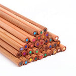 Eco Friendly Color Pencil 12-Pieces Set | Executive Door Gifts