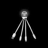 3-in-1 Fast Charging Cable with LED Logo | Executive Door Gifts