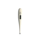 Digital Thermometer | Executive Door Gifts