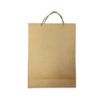 Eco-Friendly Brown Kraft Paper Bag | Executive Door Gifts