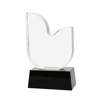 Dutkc Crystal Awards | Executive Door Gifts