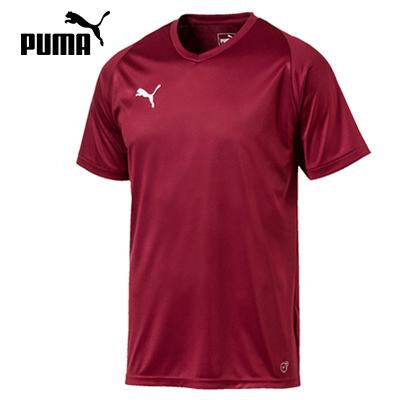 Puma Liga Sideline Polo Executive Door Gifts