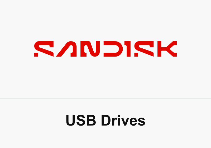 SanDisk USB Drives for Executive Gifts